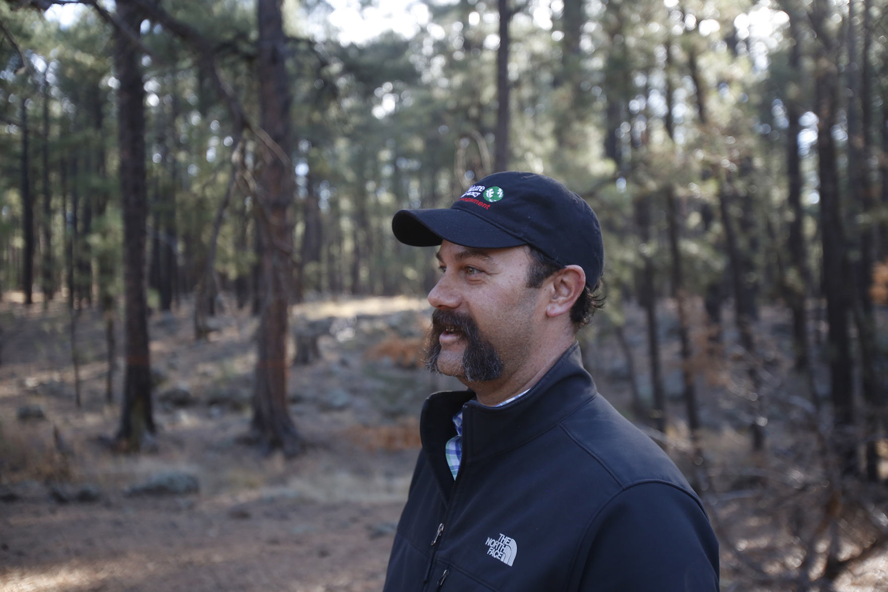 Forest Foundation